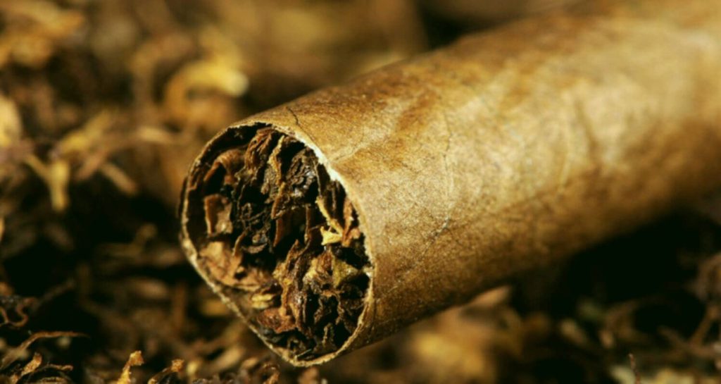 Classic Cigars Resplendent in the Multifaceted Modernity of the Tobacco World